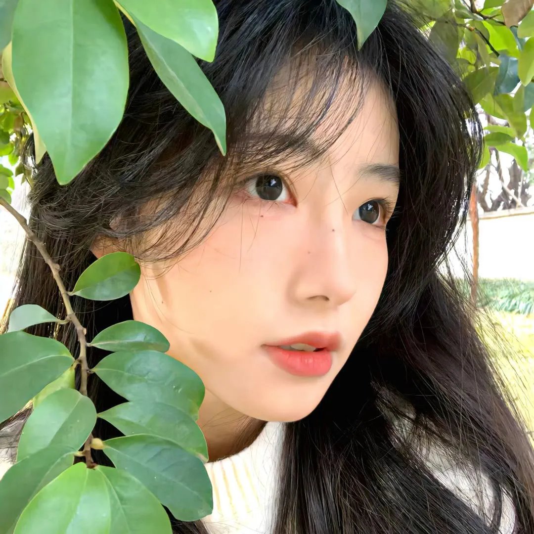 我的纯洁土地